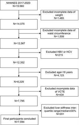 Association between weight-adjusted-waist index with hepatic steatosis and liver fibrosis: a nationally representative cross-sectional study from NHANES 2017 to 2020